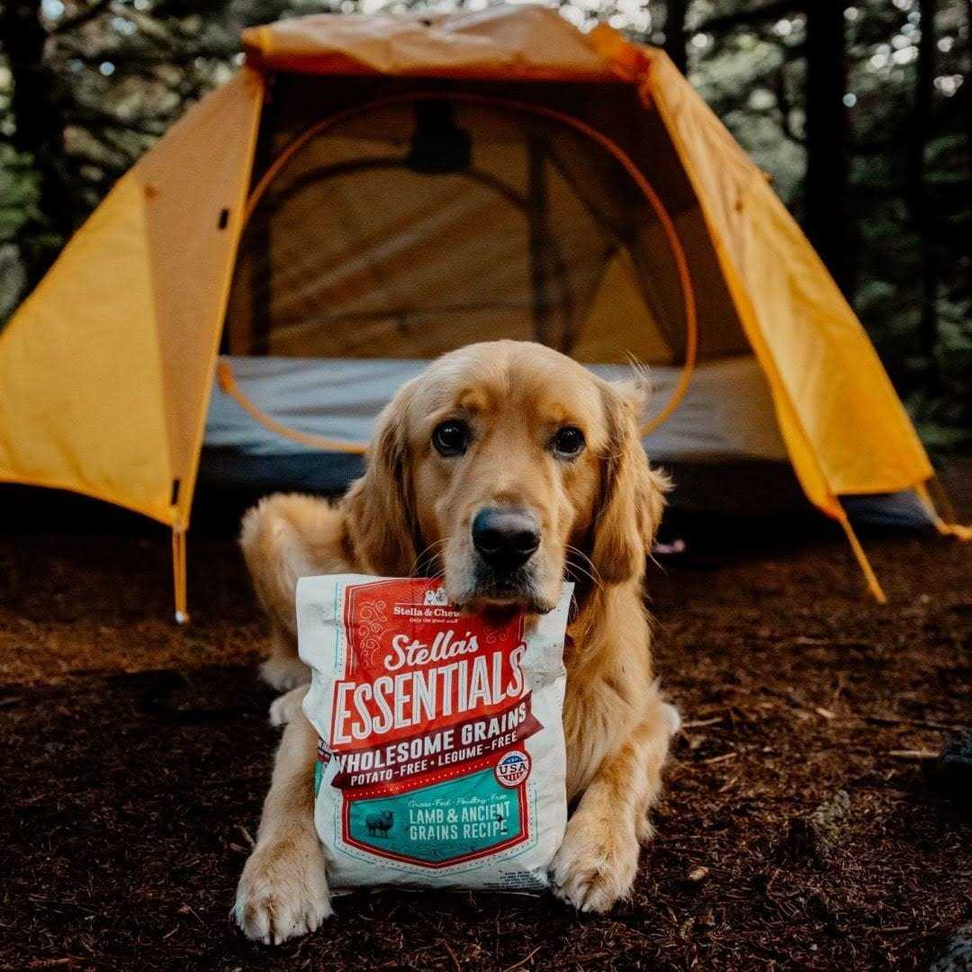 Dog Food T662537