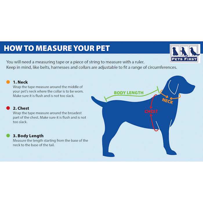 Pet Dog Collar L70769