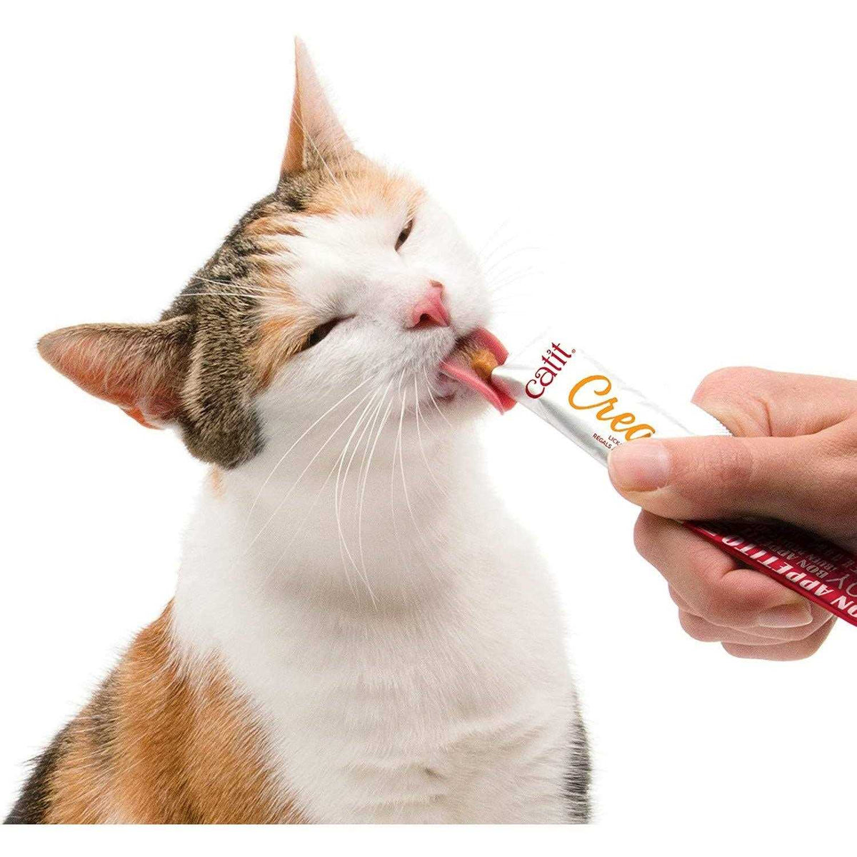 Cat N874