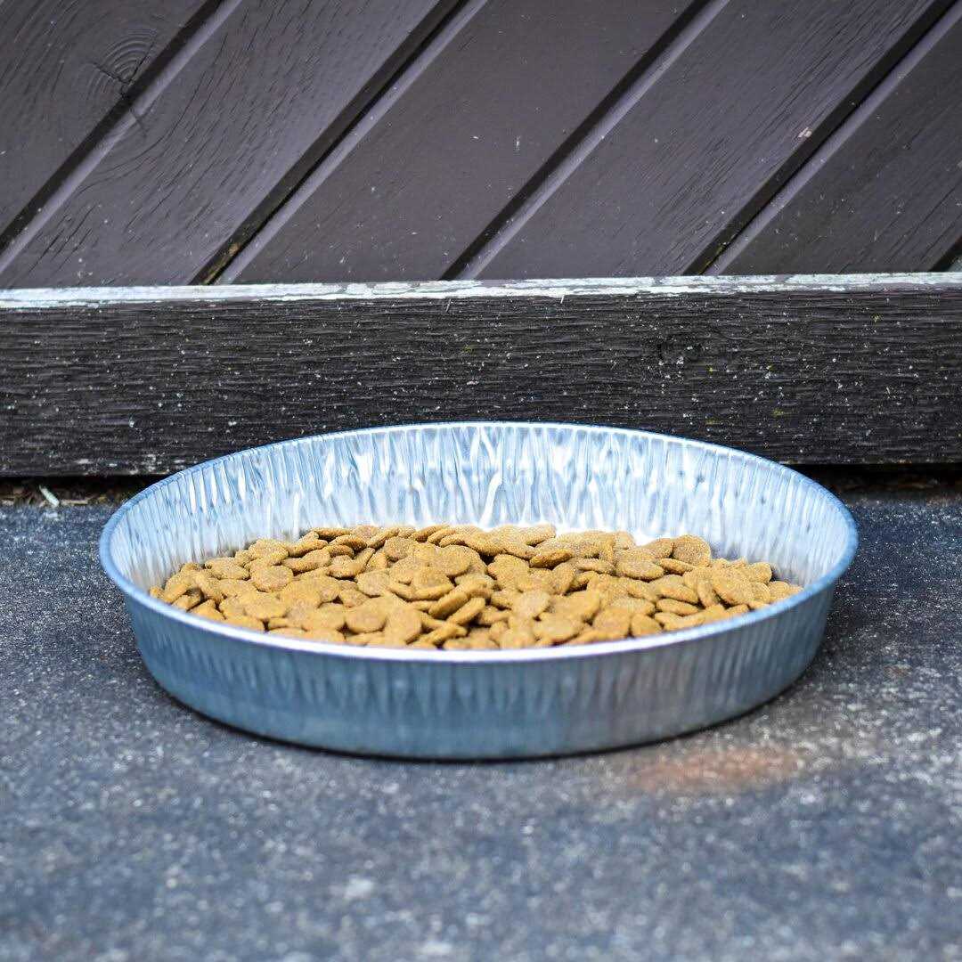 Galvanized Pet Pan 3 Quarts T7378