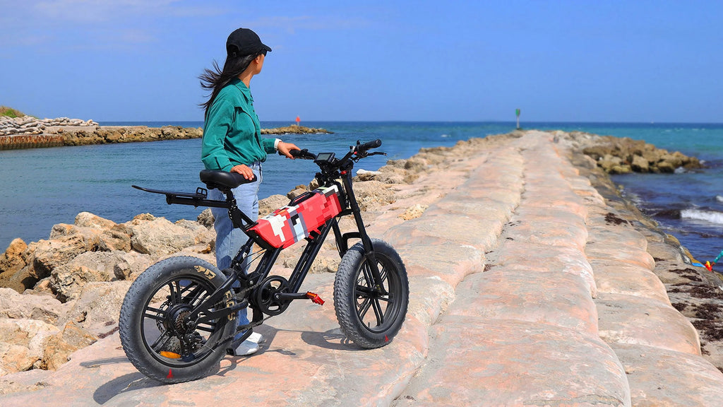 Fat Tire eBike K330804
