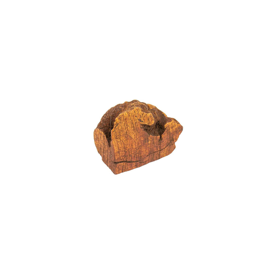 Chew Root for Dogs M491083