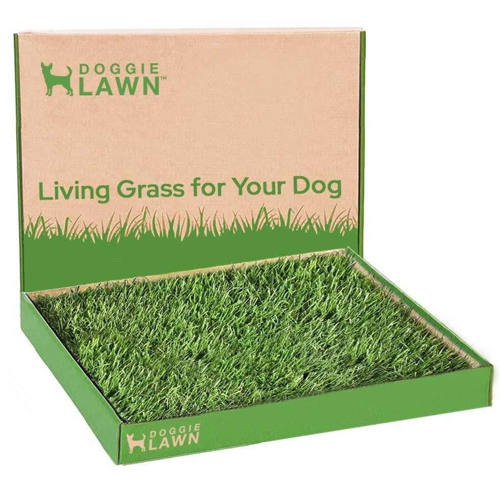 Real Grass Puppy Pee Pads N882404