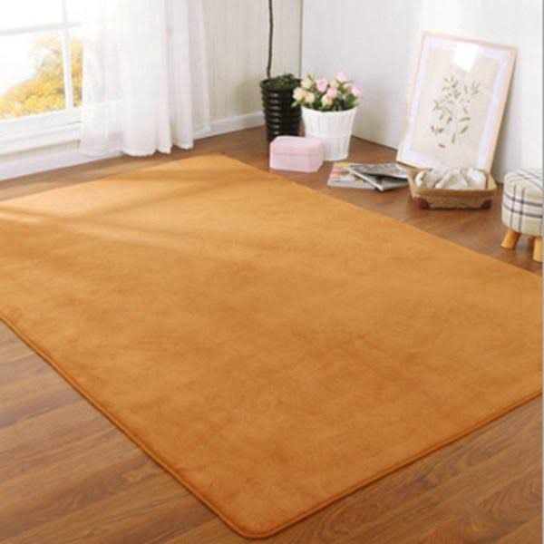 Thick Carpet for Living Room U582