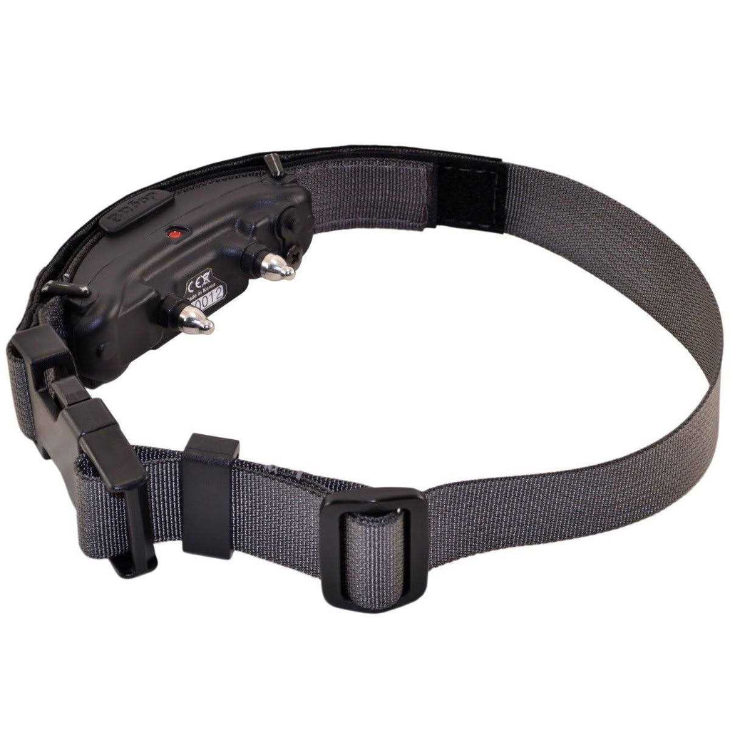 Collar I538