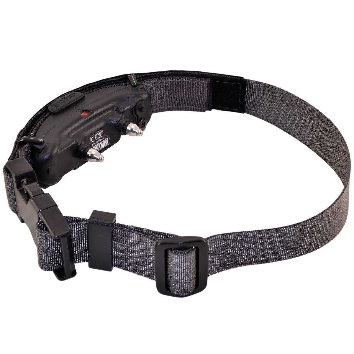 Collar I538