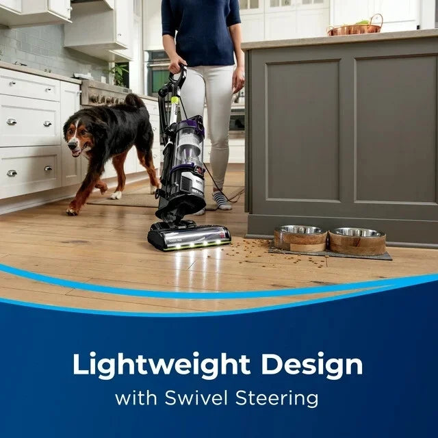 Upright Vacuum G32658