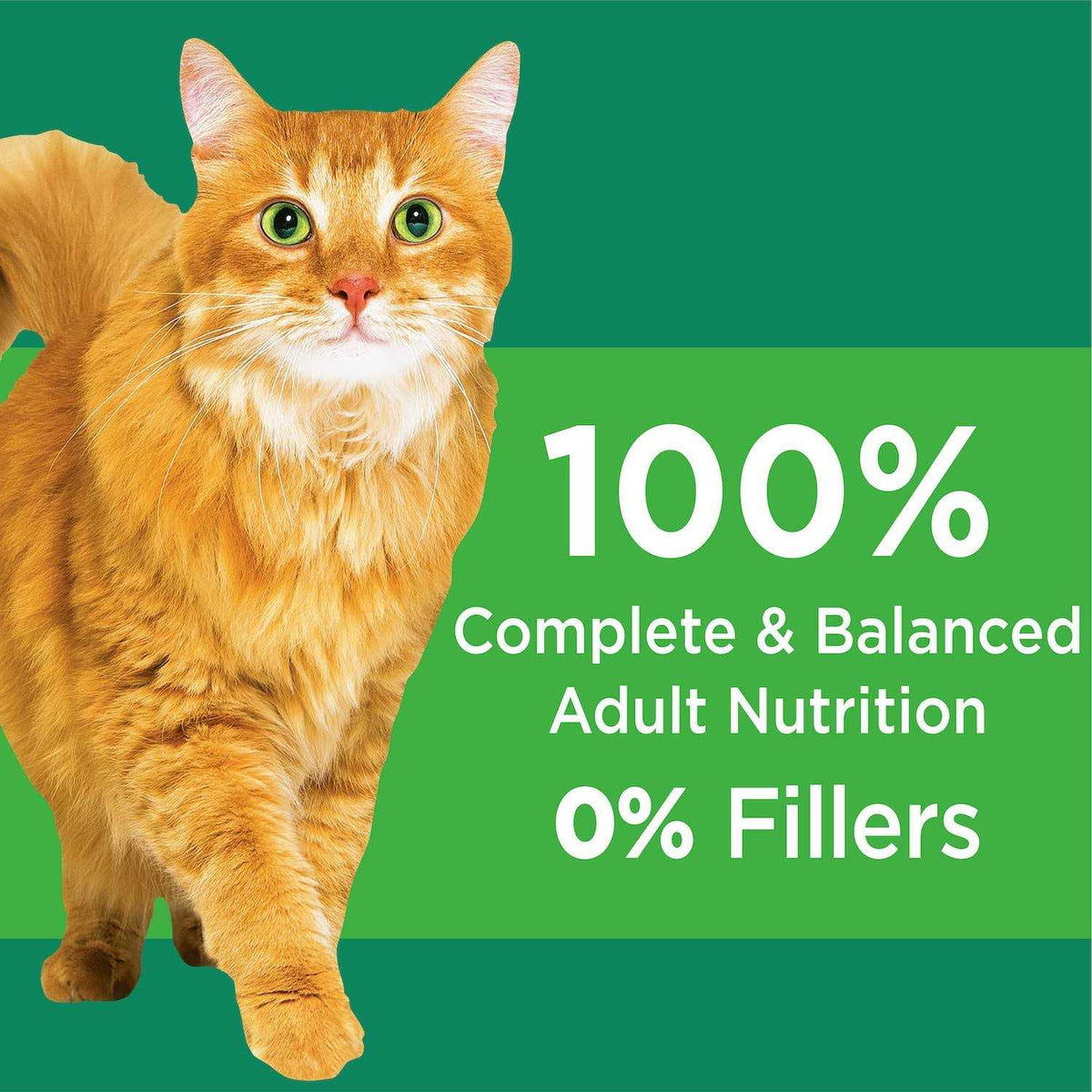 Senior Dry Cat Food N997064
