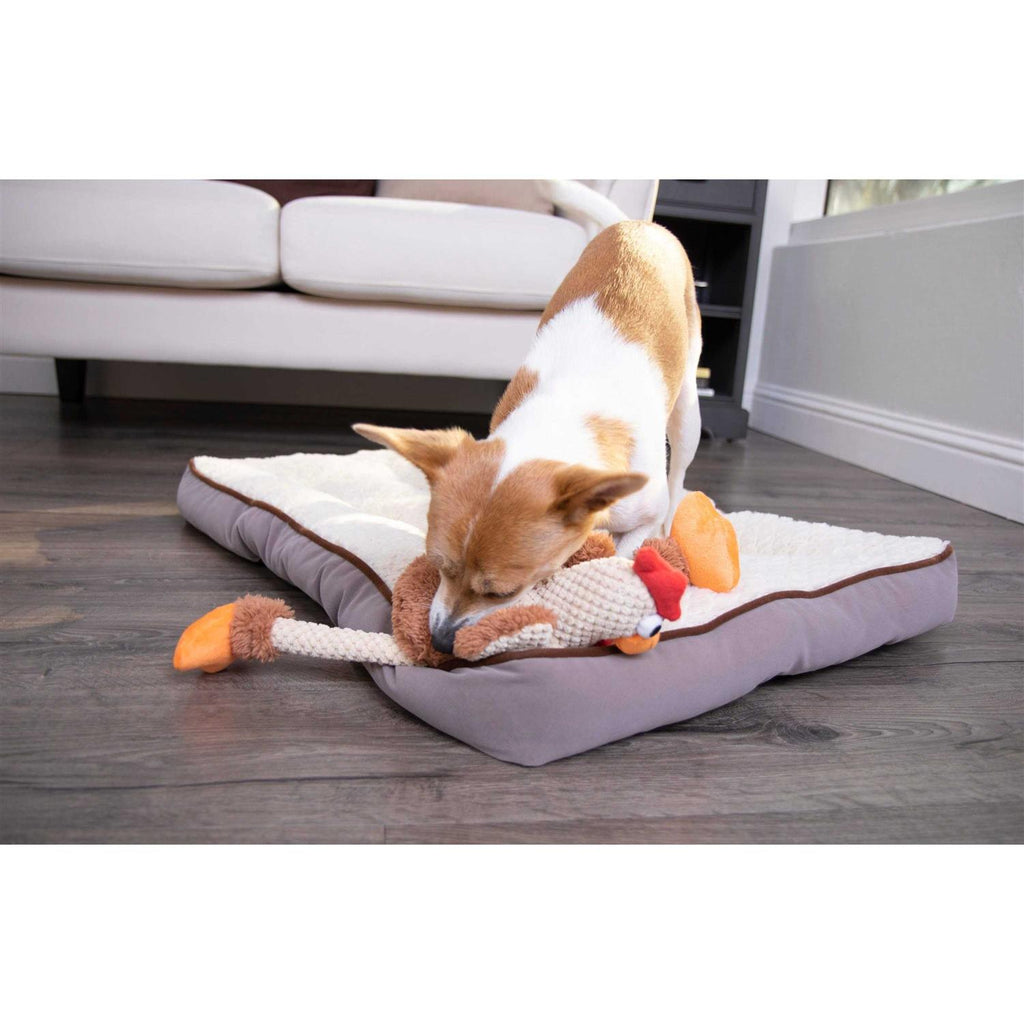 Skinny Rooster Dog Toy Z662118