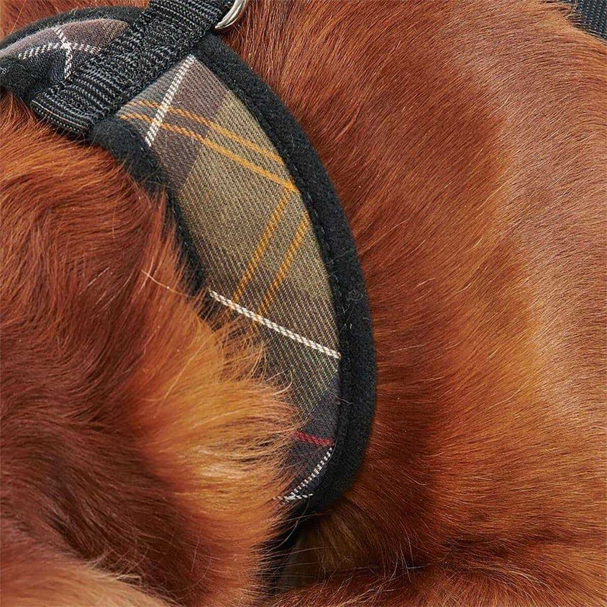 Tartan Dog Harness V801794
