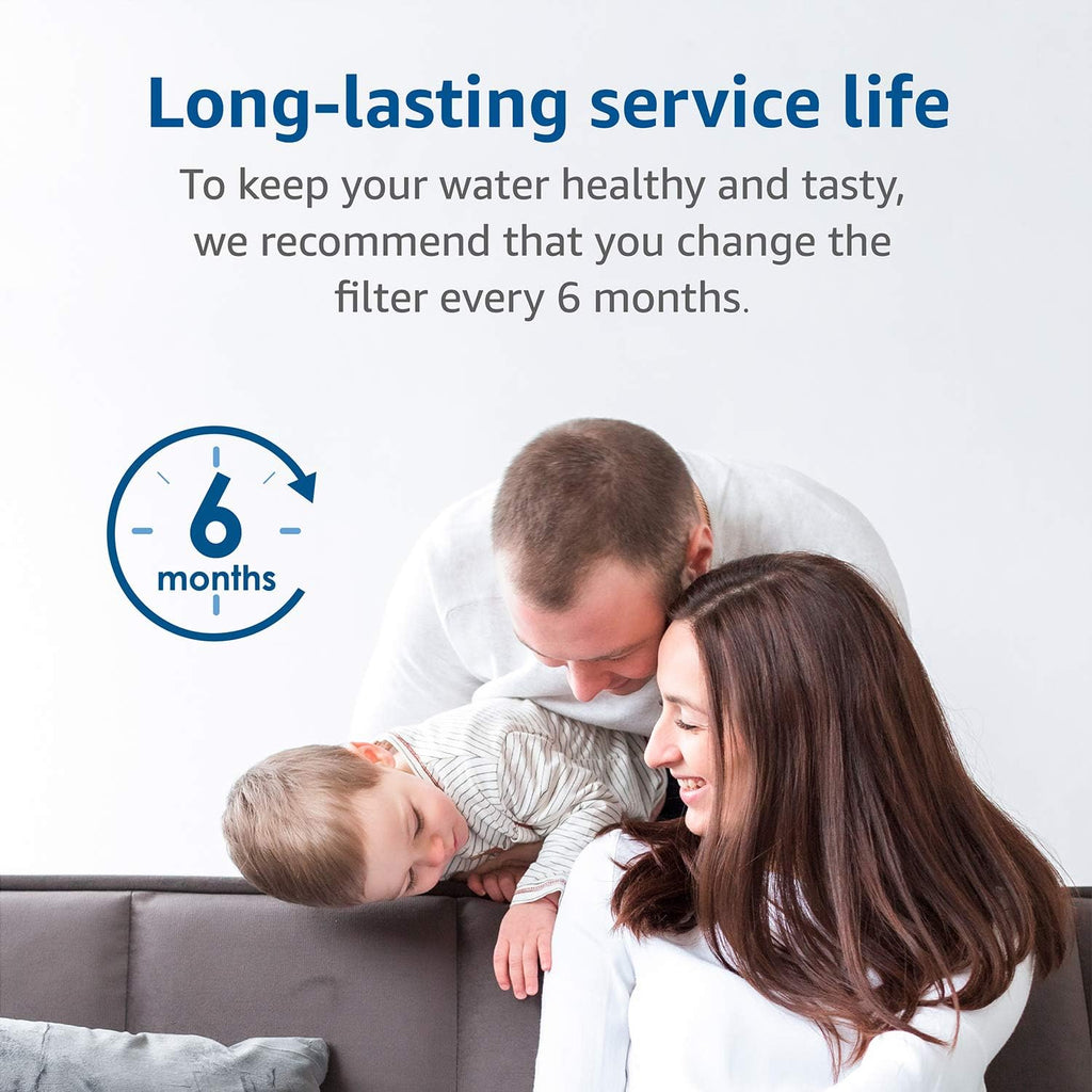 Water Filter Cartridge, pack of 2 K45745