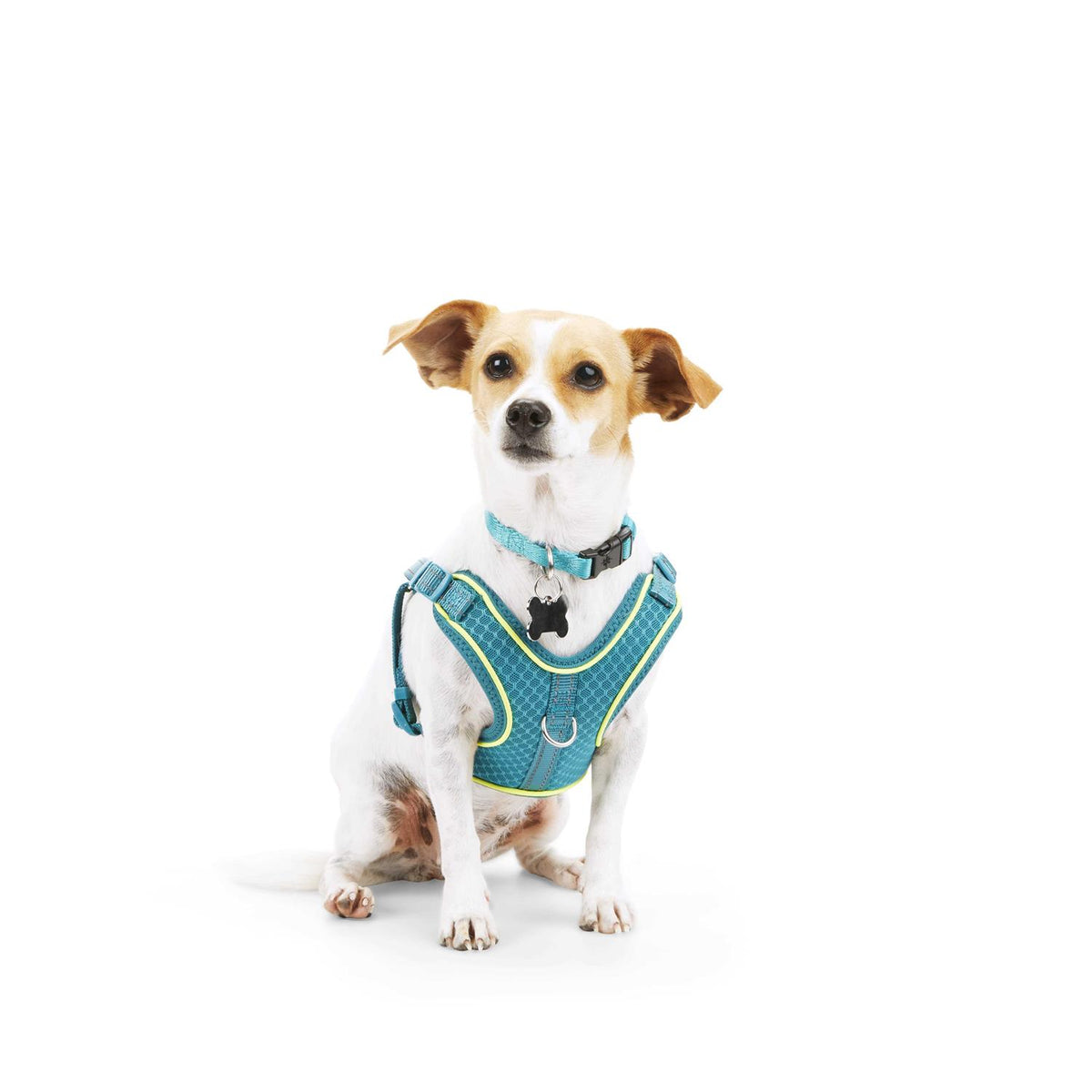 Reflective Dog Harness C940231