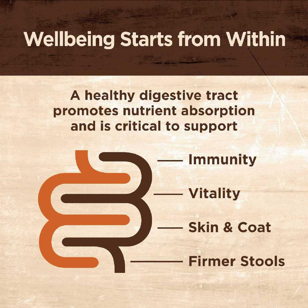 Digestive Health Pate Recipe Wet Cat Food O4787