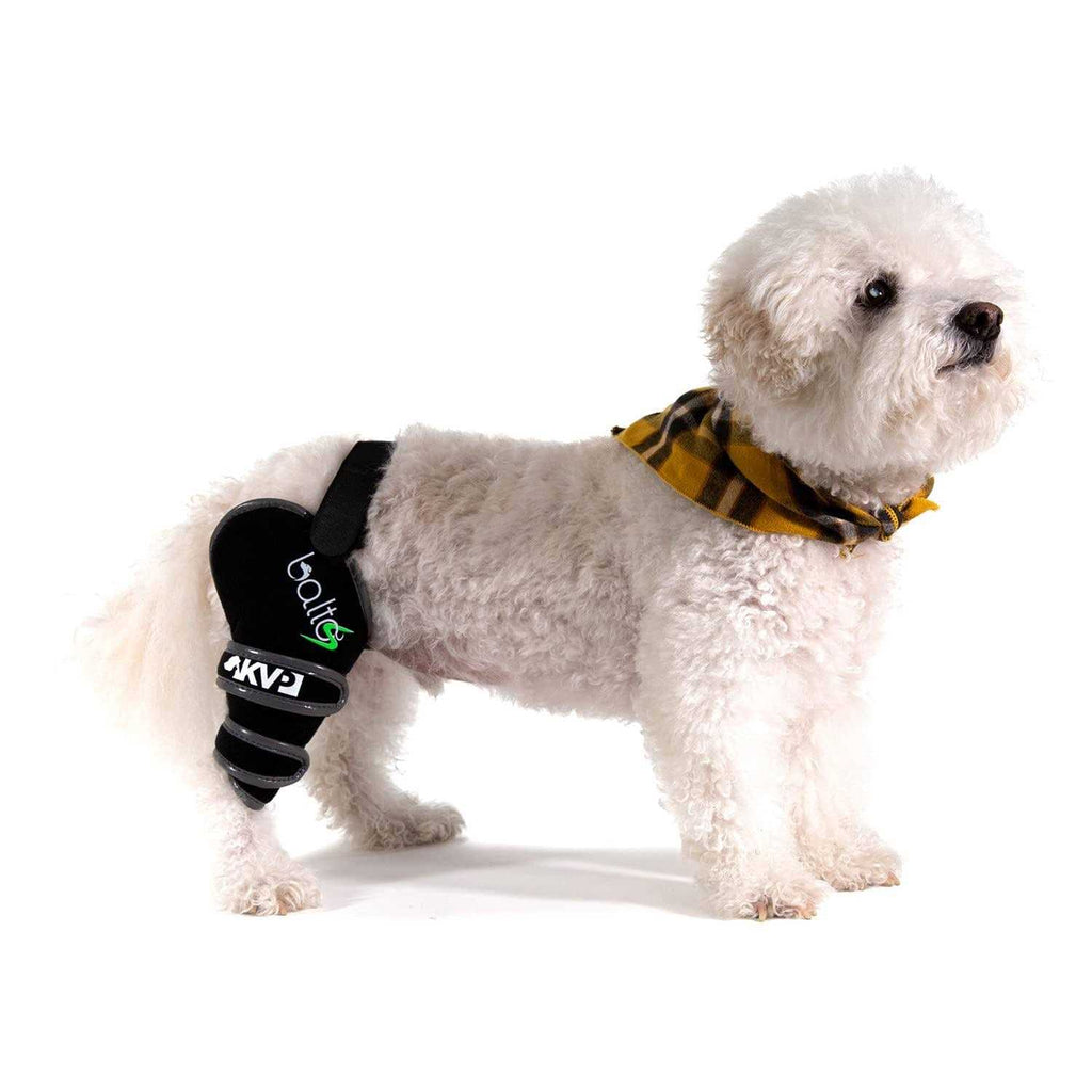 Knee Support for Dogs D534799