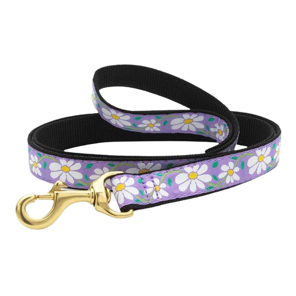 Dog Collar F77041