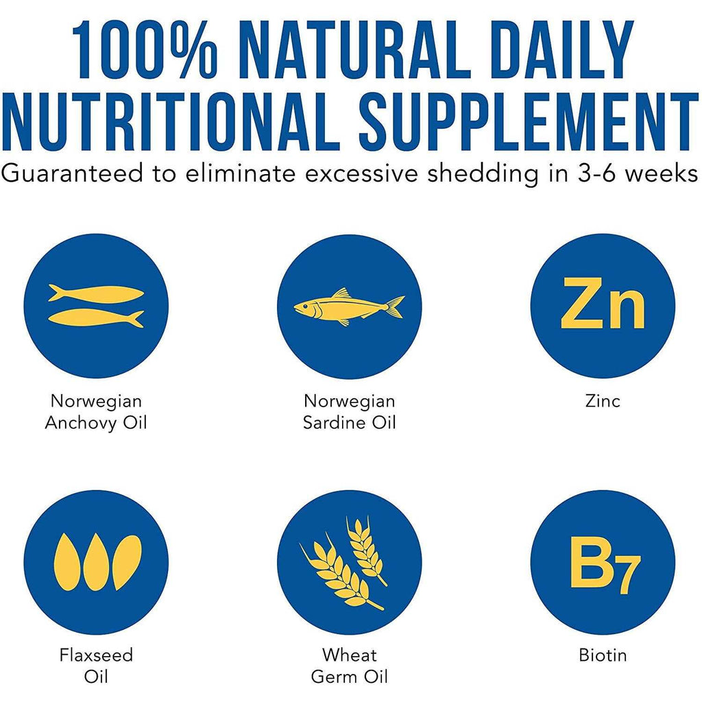 Liquid Supplement for Dogs H13210