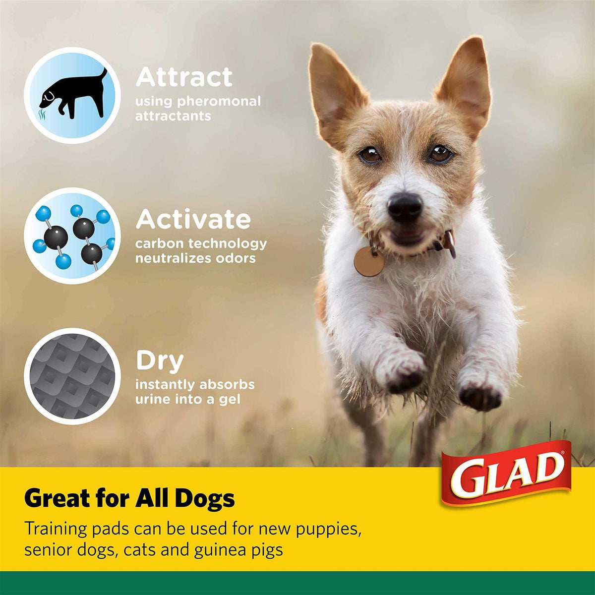 Activated Carbon Puppy Training Pads M8714