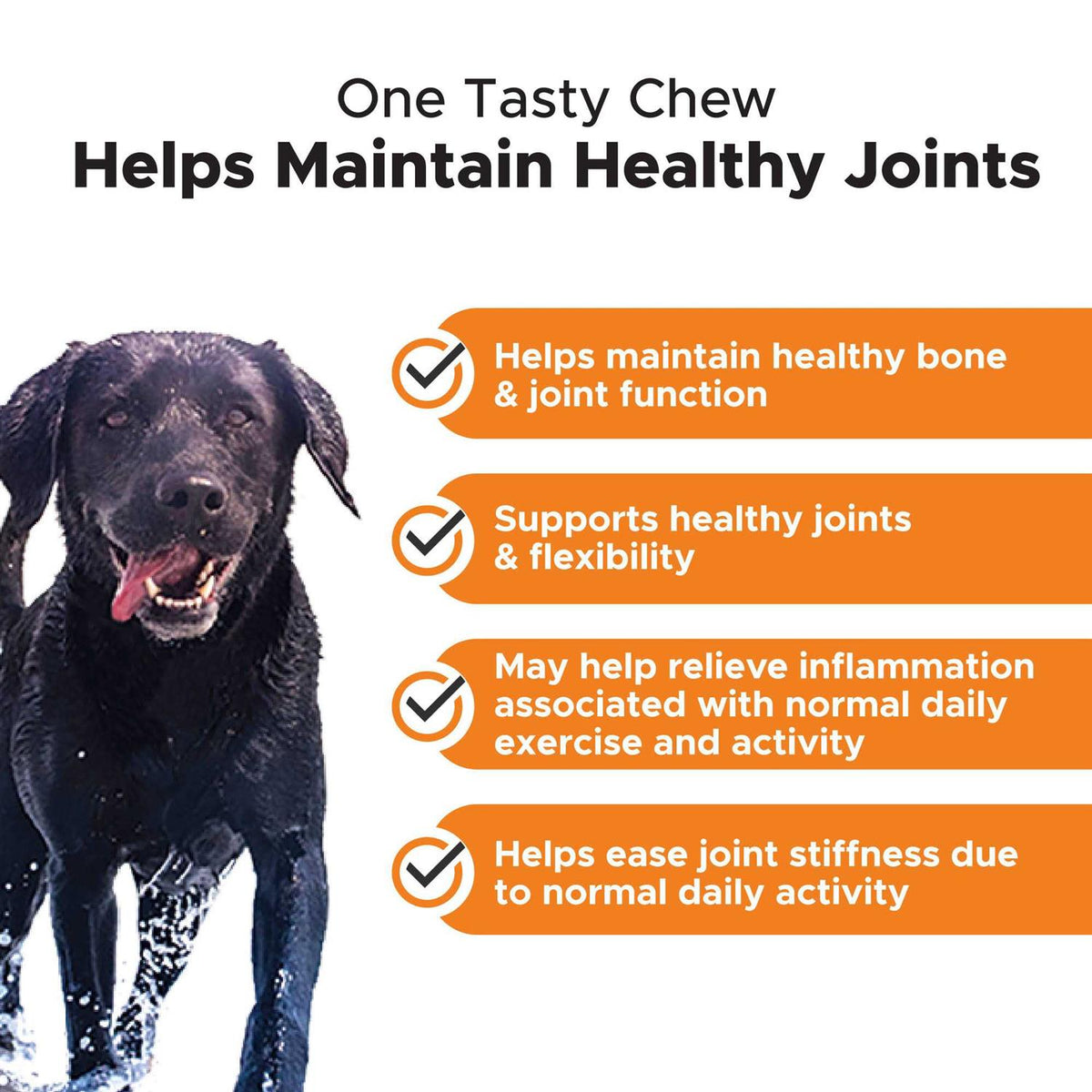 Chicken Hip + Joint Health Soft Chews for Dogs S941608
