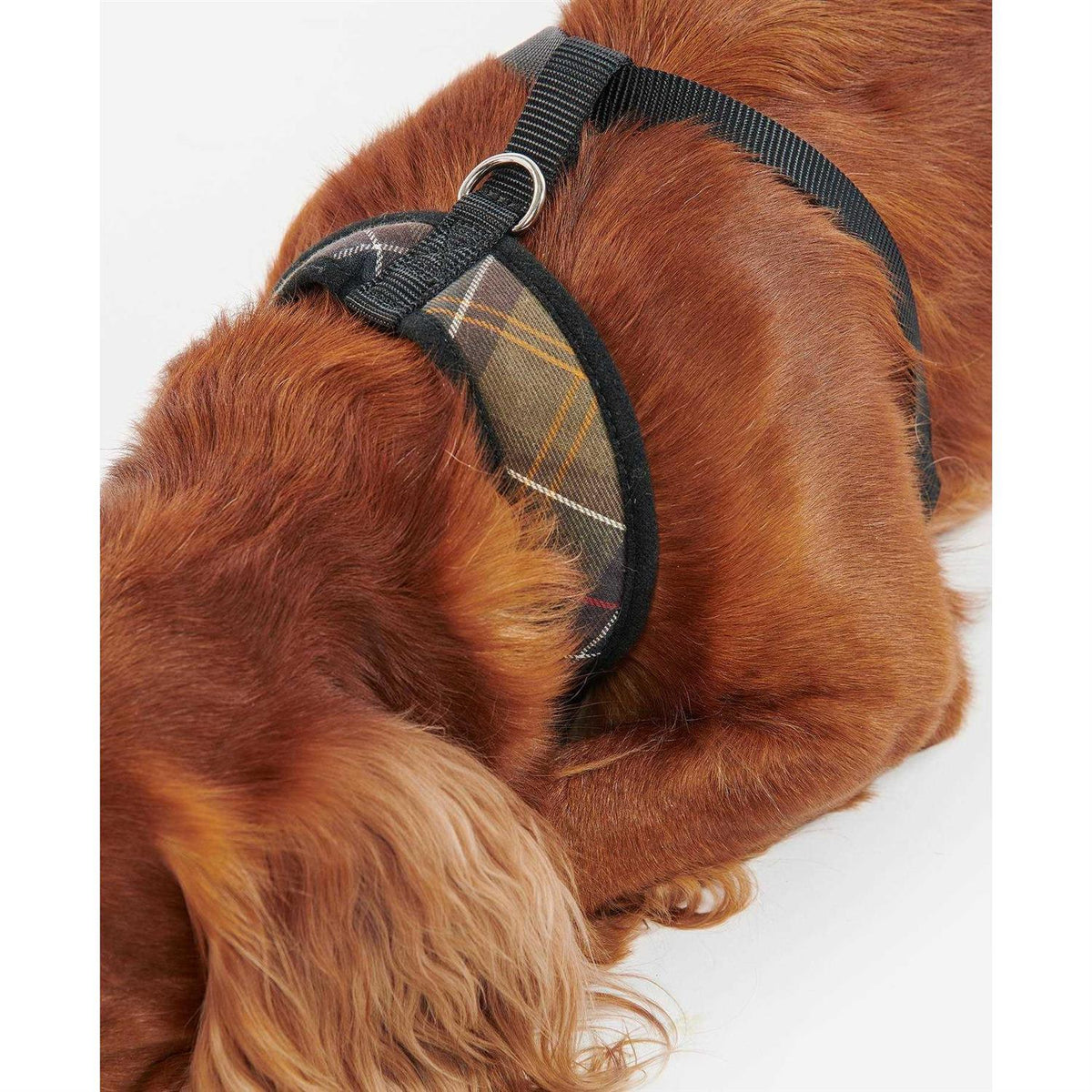 Tartan Dog Harness V801794