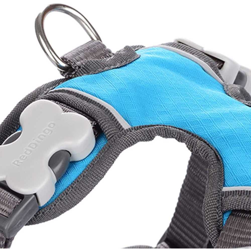 Padded Dog Harness B8029