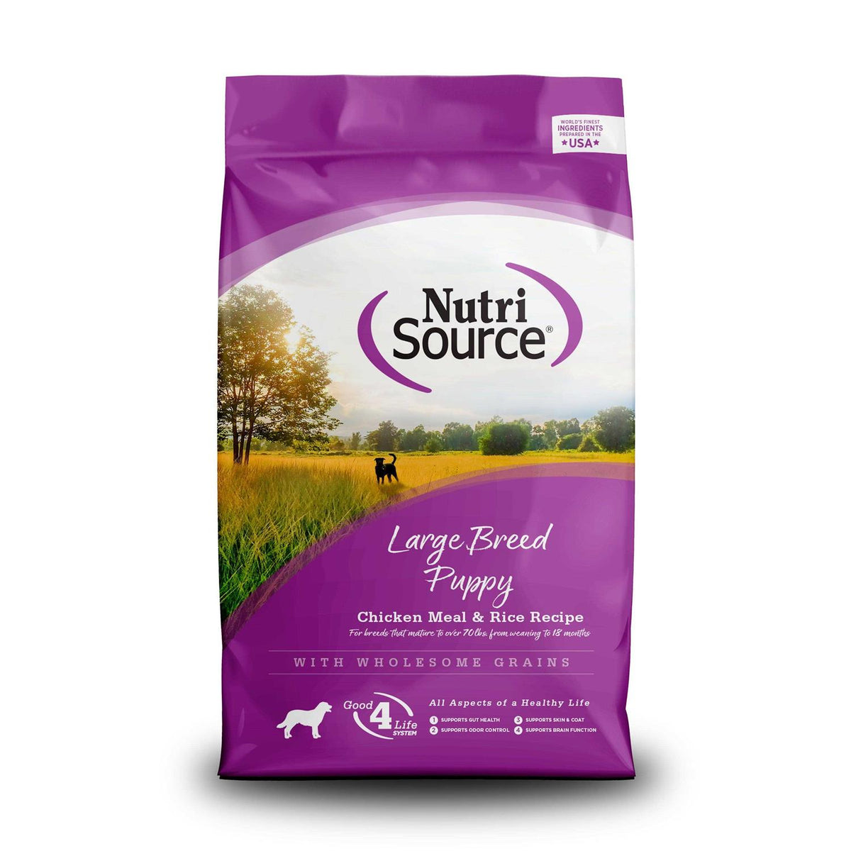 Chicken Rice Large-Breed Puppy Dry Dog Food R34148