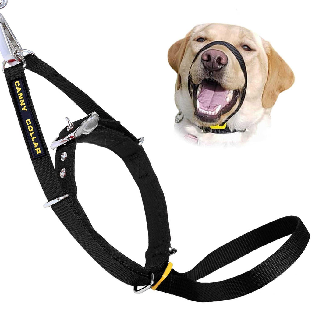Padded Dog Training Head Collar D380