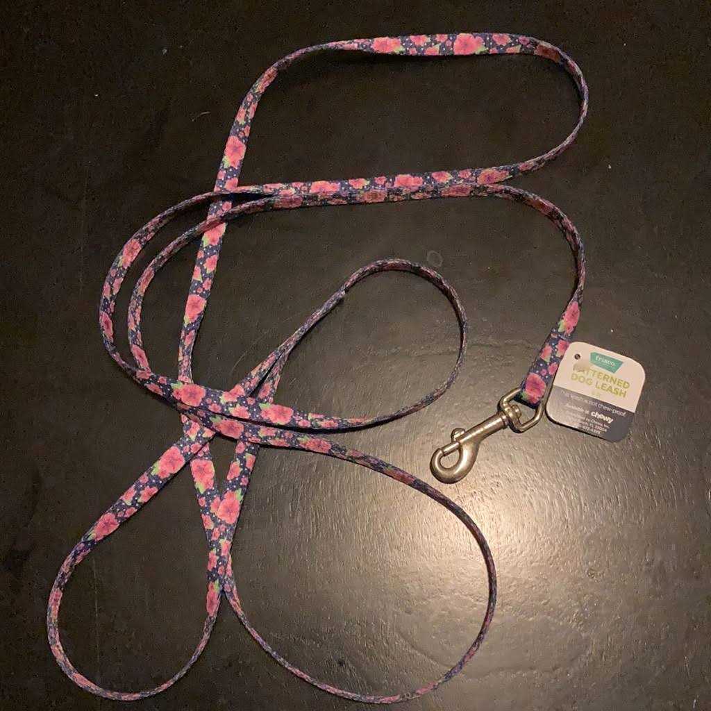 Dog Leash K44929