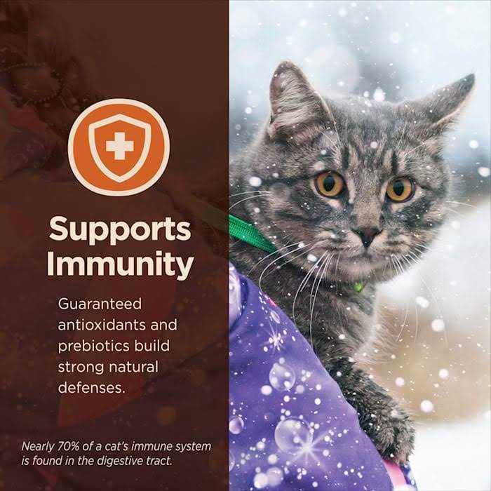 Digestive Health Pate Recipe Wet Cat Food O4787