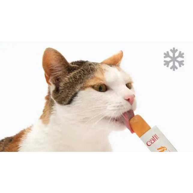 Cat N874