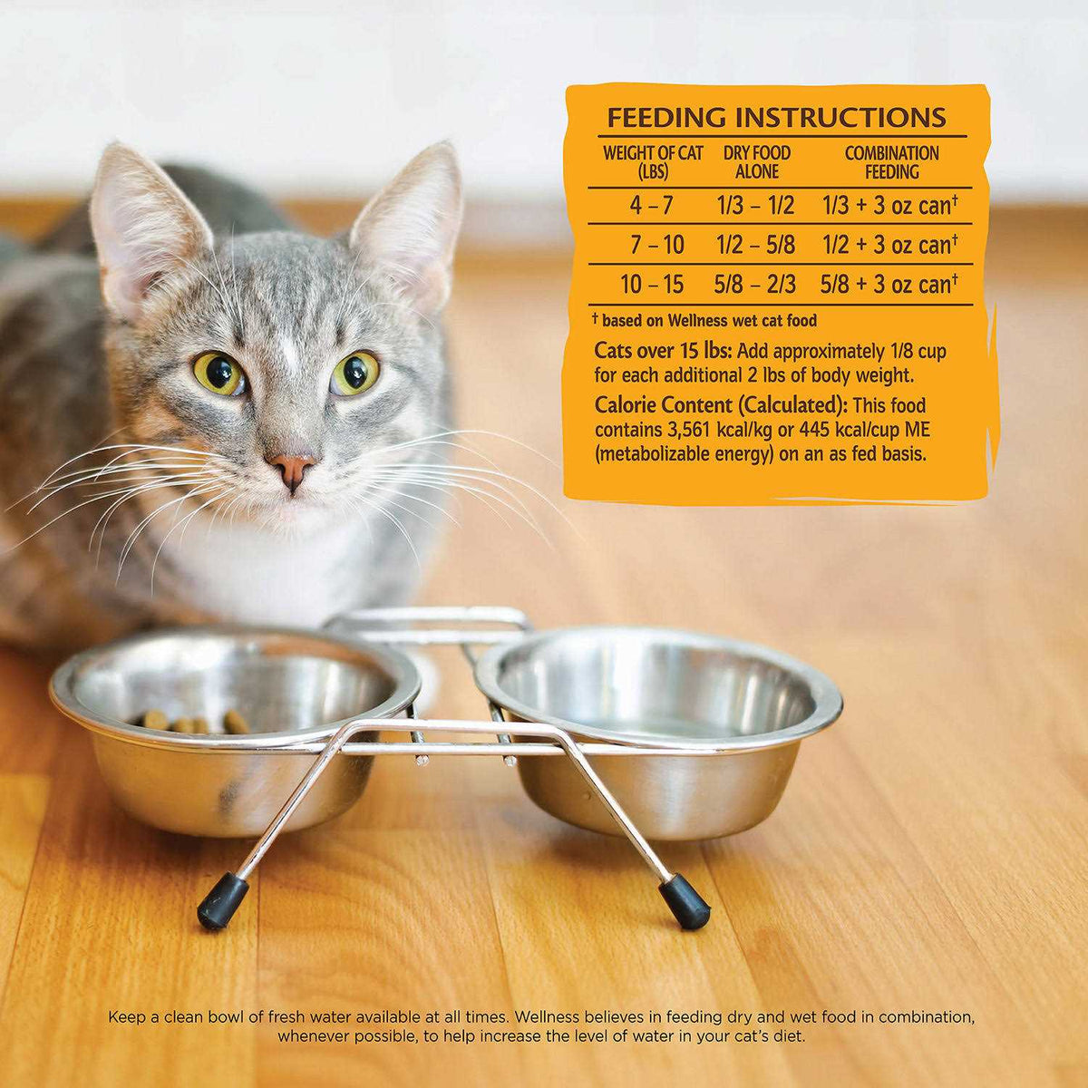 Dry Cat Food V373208
