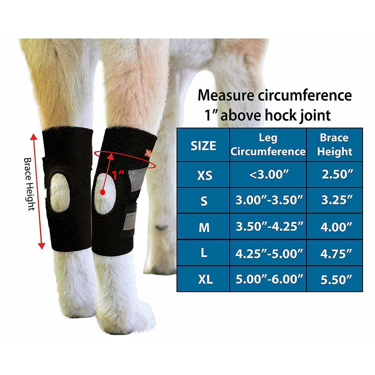 Dog Rear Leg Hock Ankle Support with Reflective Straps K4727