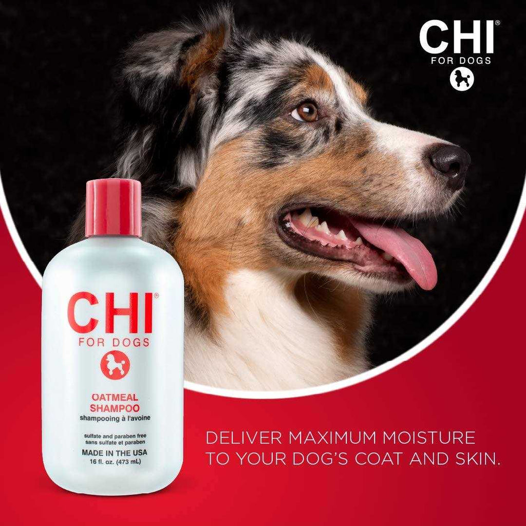 Oatmeal Dog Shampoo 16 oz Sulfate Paraben Free A282