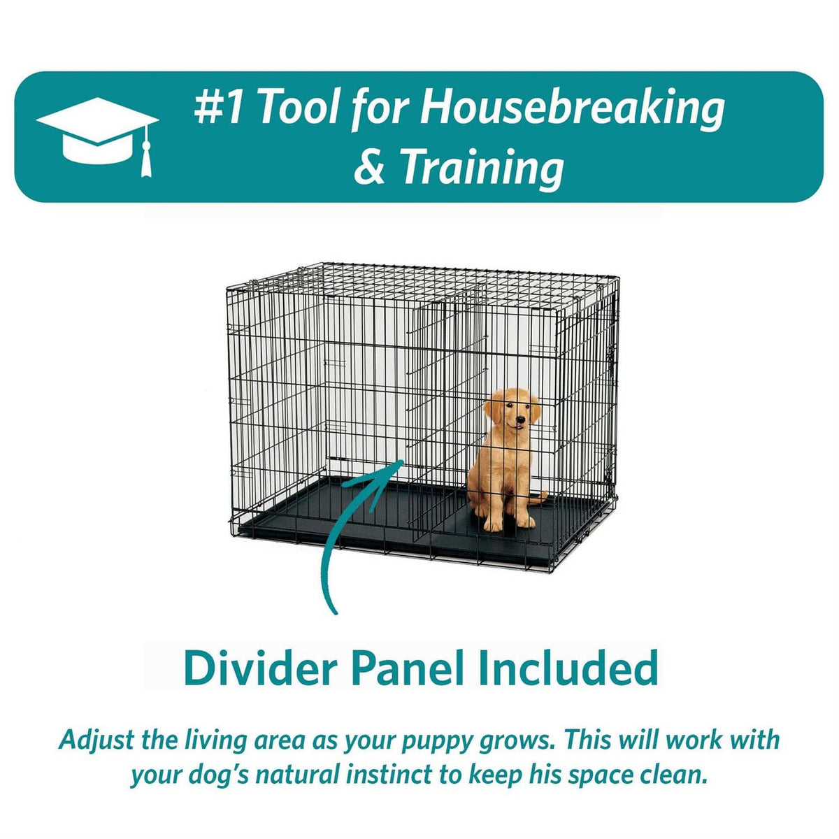 Double Door Fold Carry Dog Crate T2218