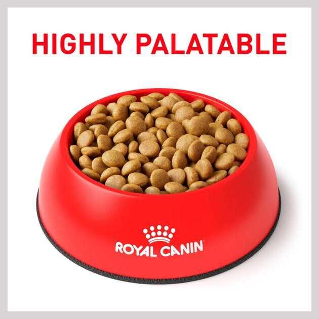 Selected Protein Adult Dry Dog Food M175089