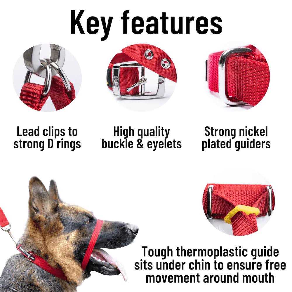 Padded Dog Training Head Collar D380