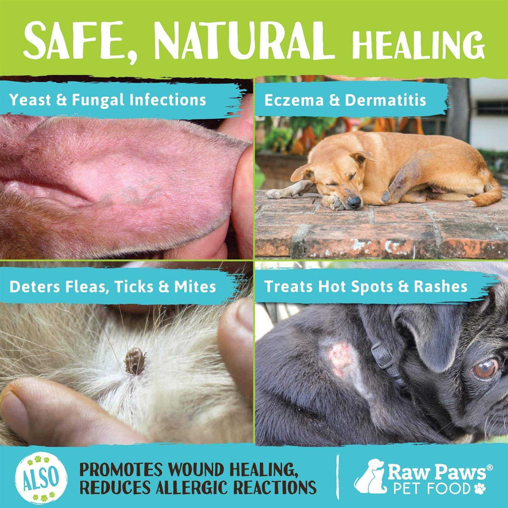 Organic Coconut Oil for Dogs & Cats C857678