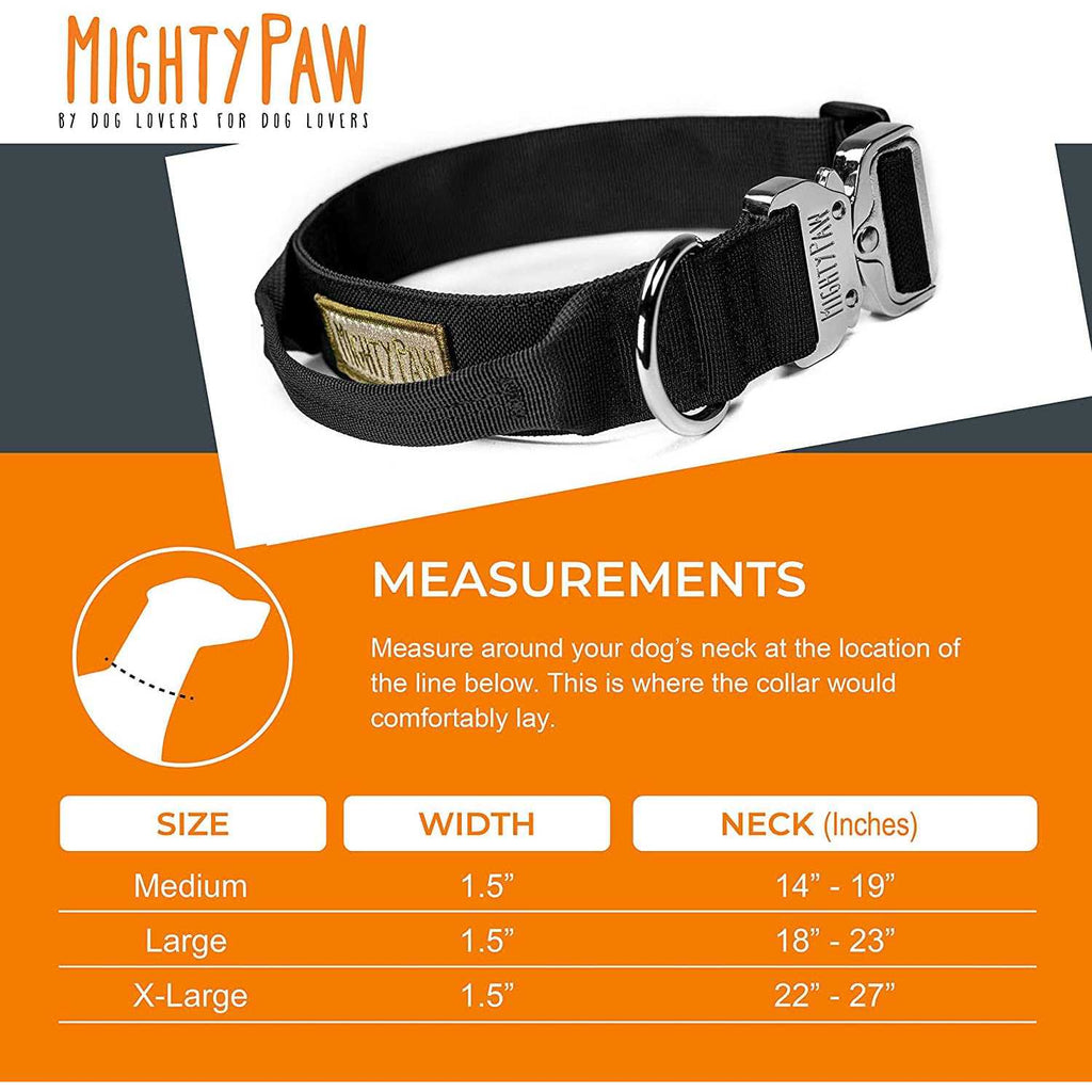 Heavy Duty Dog Collar with Metal Buckle G290