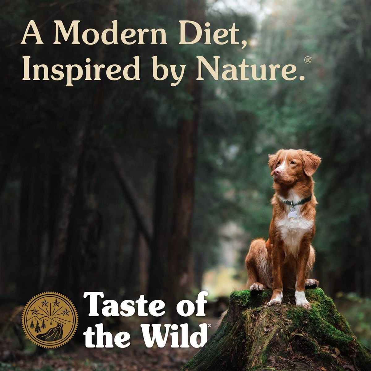 Smoked Salmon Dog Food X968135