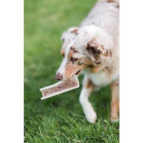 Split Elk Antlers for Dogs L395