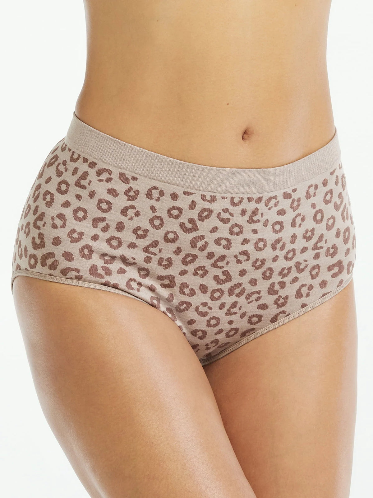 Seamless Brief Panties 6-Pack V652119