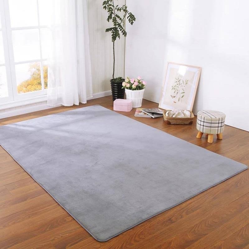 Thick Carpet for Living Room U582