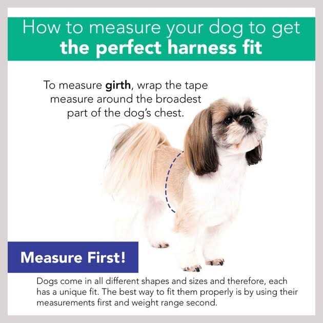 Comfort Mesh Harness N26932