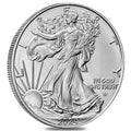 1 oz Silver American Eagle Coin E608603
