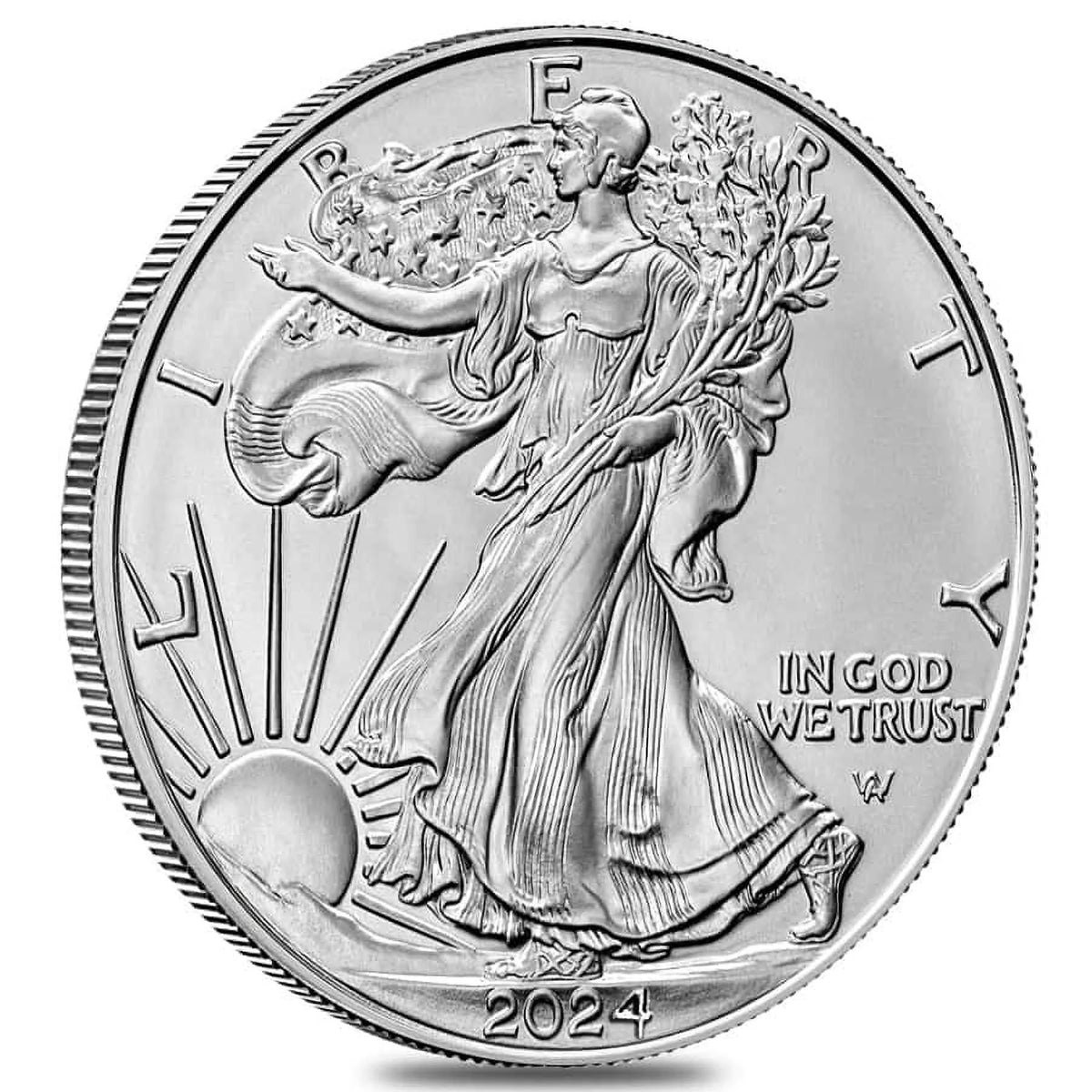 1 oz Silver American Eagle Coin E608603