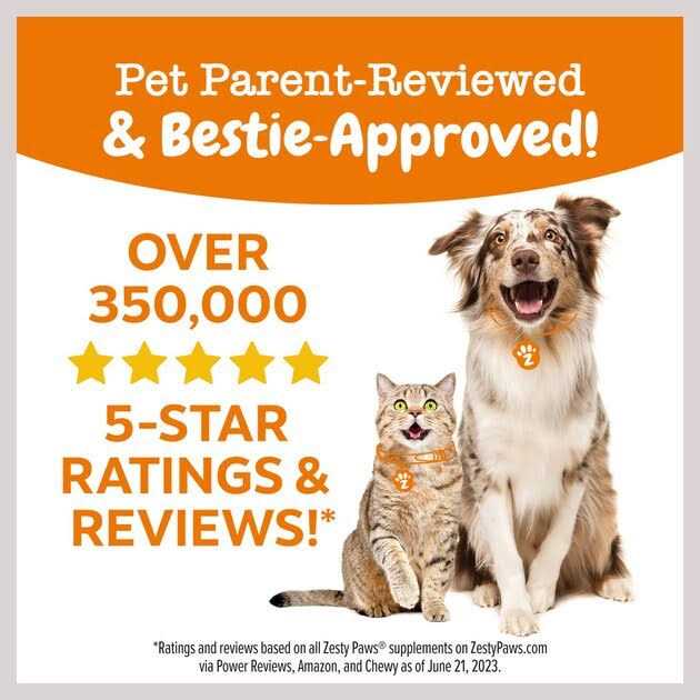 Dental Bones for Dogs Q1560