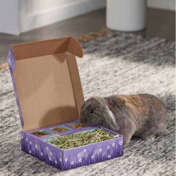 Bunny Bento Box R318