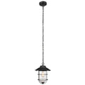 Matte Black Seeded Glass Pendant O1844