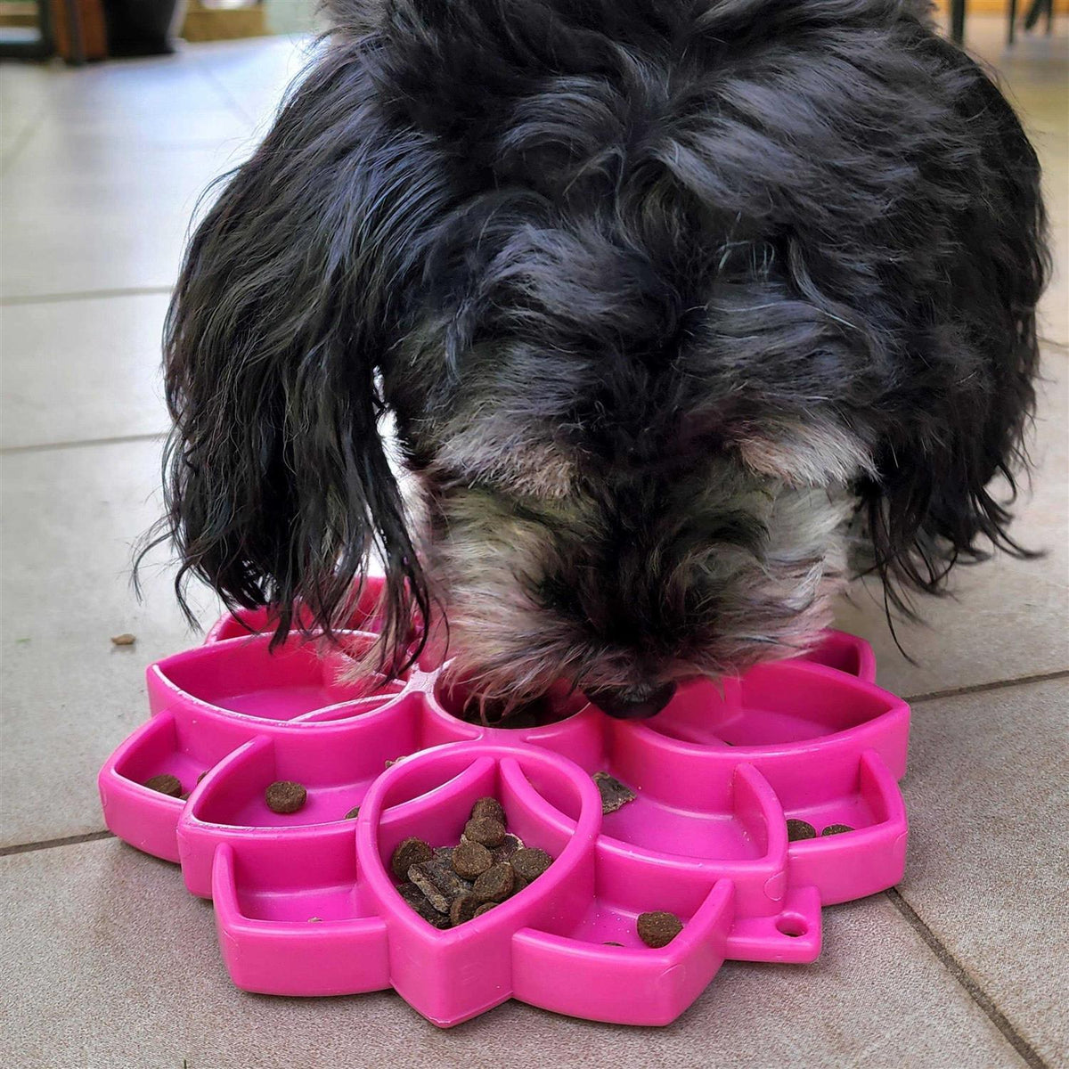 Mandala Design Enrichment Tray for Dogs X53019