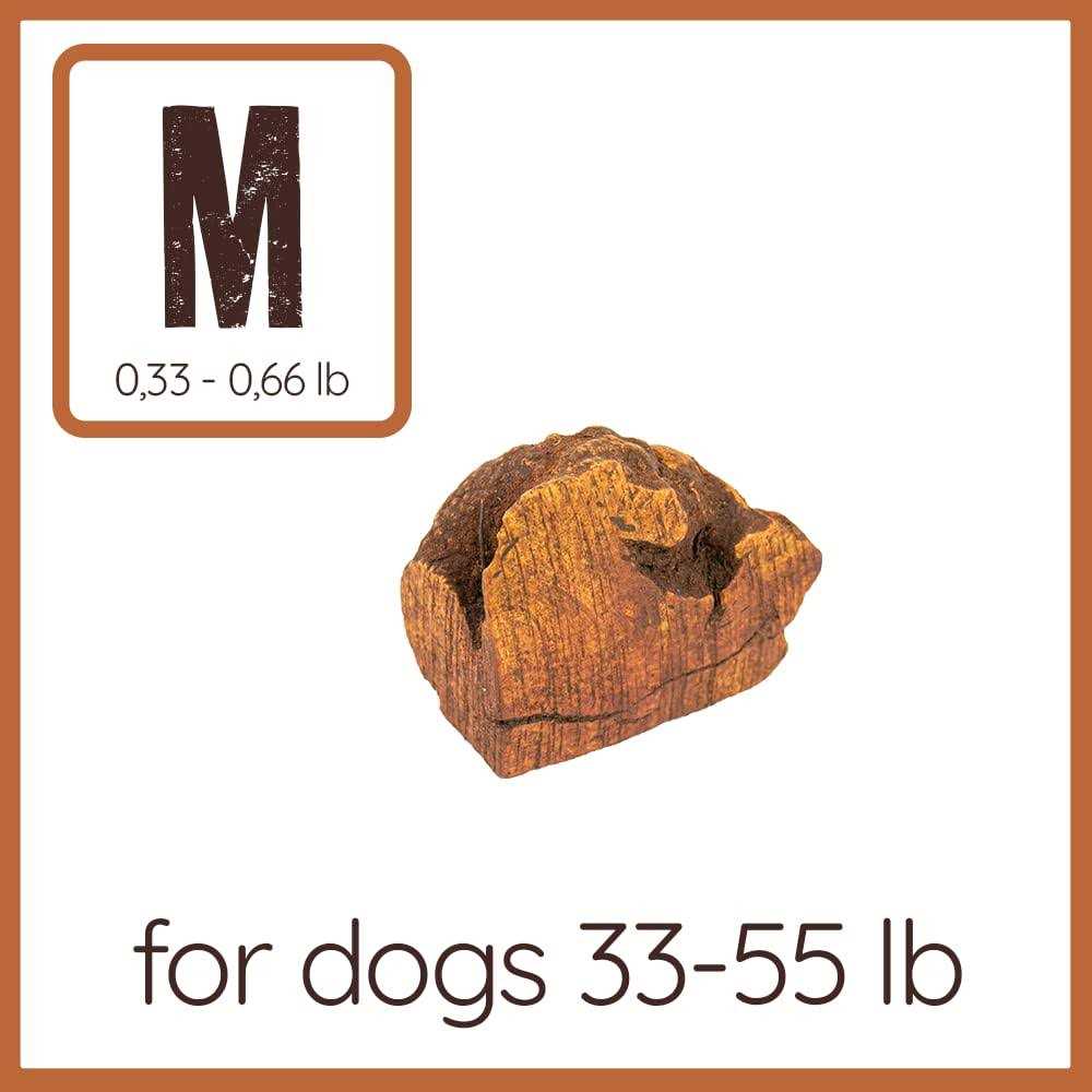 Chew Root for Dogs M491083