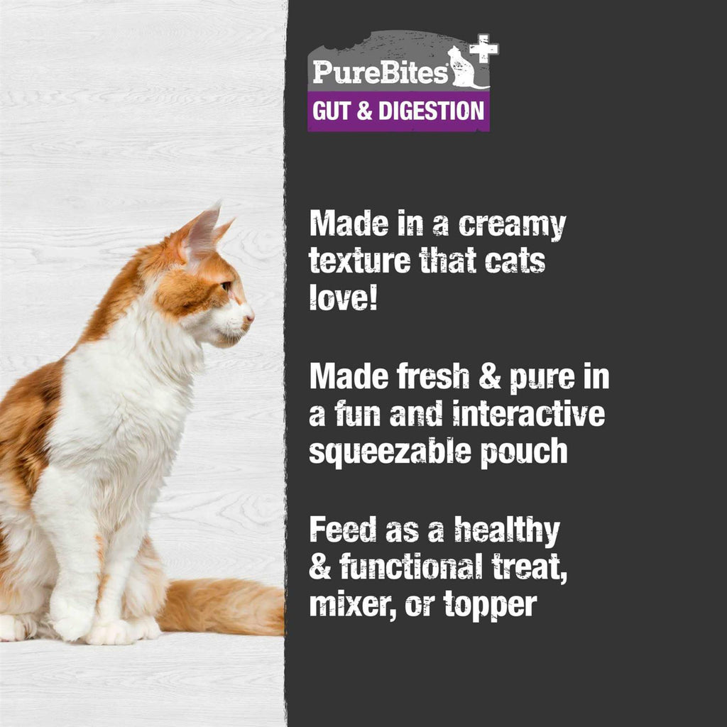 Squeezable Cat Food V537361